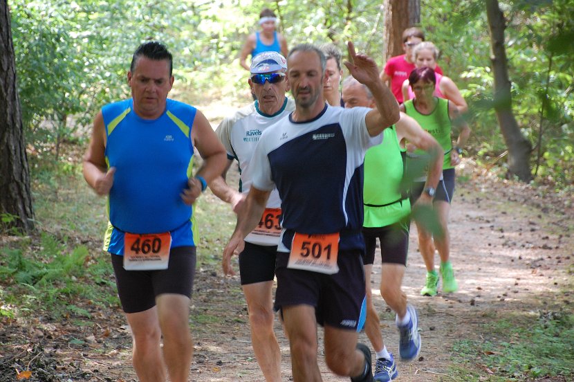 7 km 2015 - 019